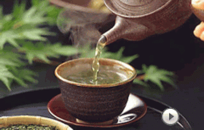 ĐỘC ẨM