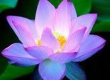 THẺ SỐ 16