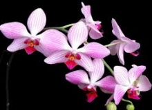 THẺ SỐ 13