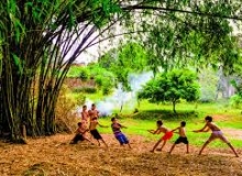 VỊNH CÂY TRE 