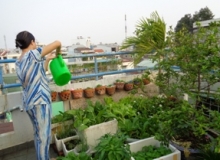 NẮNG MỚI TRÊN SÂN THƯỢNG