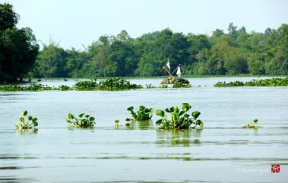 KIẾP LỤC BÌNH