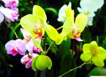THẺ SỐ 26
