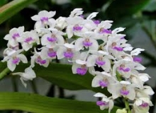 THẺ SỐ 95