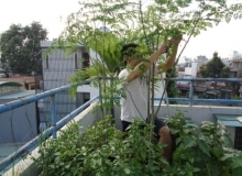 Ở NHÀ CẢ NGÀY