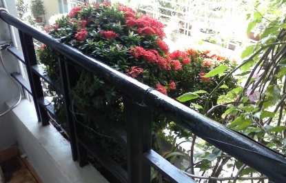 HOA ĐƠN