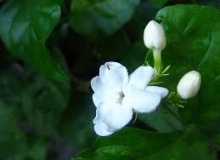 THẺ SỐ 64