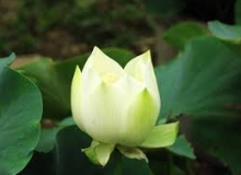 THẺ SỐ 72