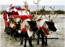 CHÙM THƠ CUỐI NĂM: ĐI LỄ GIÁNG SINH