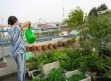 :VỢ TA TA NHỚ