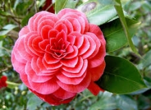THẺ SỐ 70