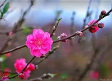 THẺ SỐ 34