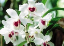 THẺ SỐ 20