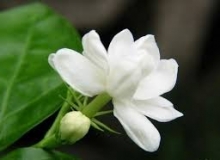 THẺ SỐ 60