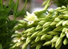 THẺ SỐ 45