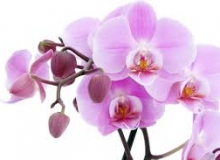 THẺ SỐ 18