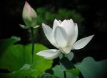 THẺ SỐ 49