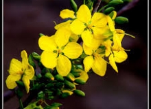 THẺ SỐ 84