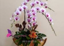 THẺ SỐ 4