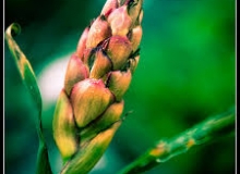 THẺ SỐ 86