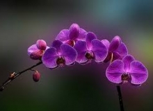 THẺ SỐ 21