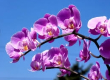 THẺ SỐ 93